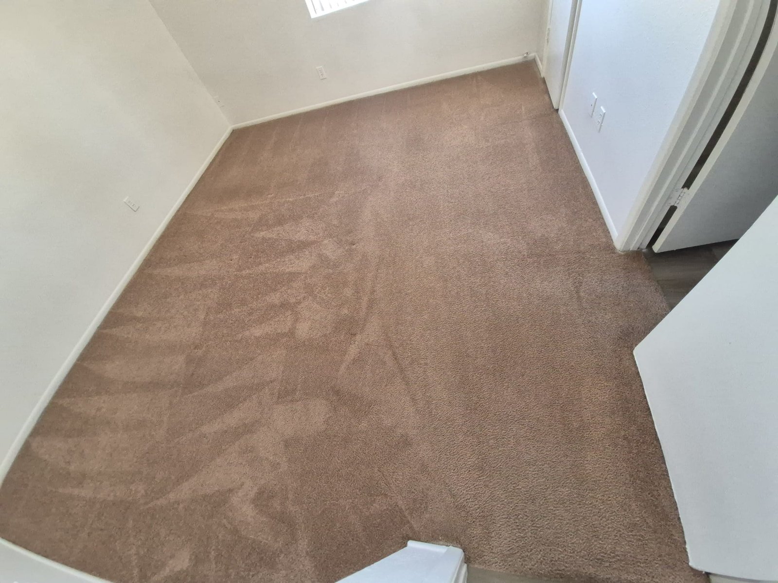 Deep cleaned home carpet
