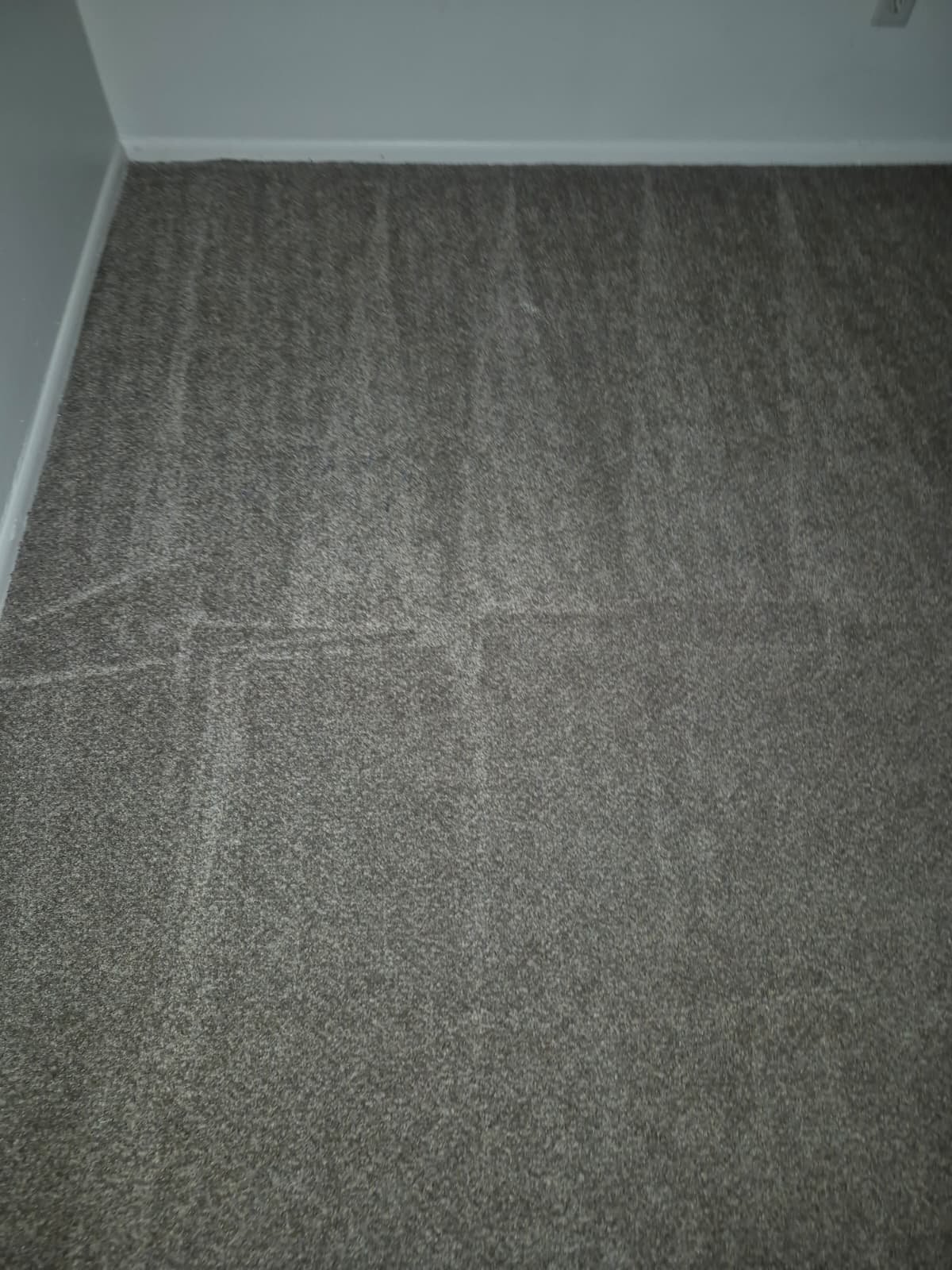 Bedroom carpet after hot water extraction in Phoenix
