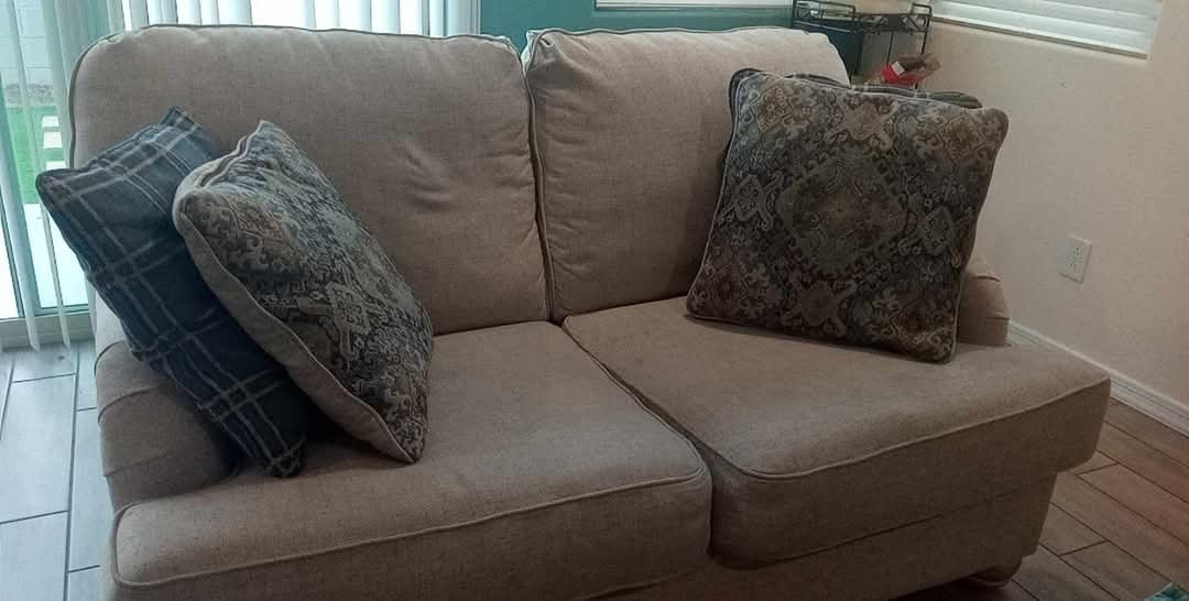 Groomed carpet lines after deep cleaning